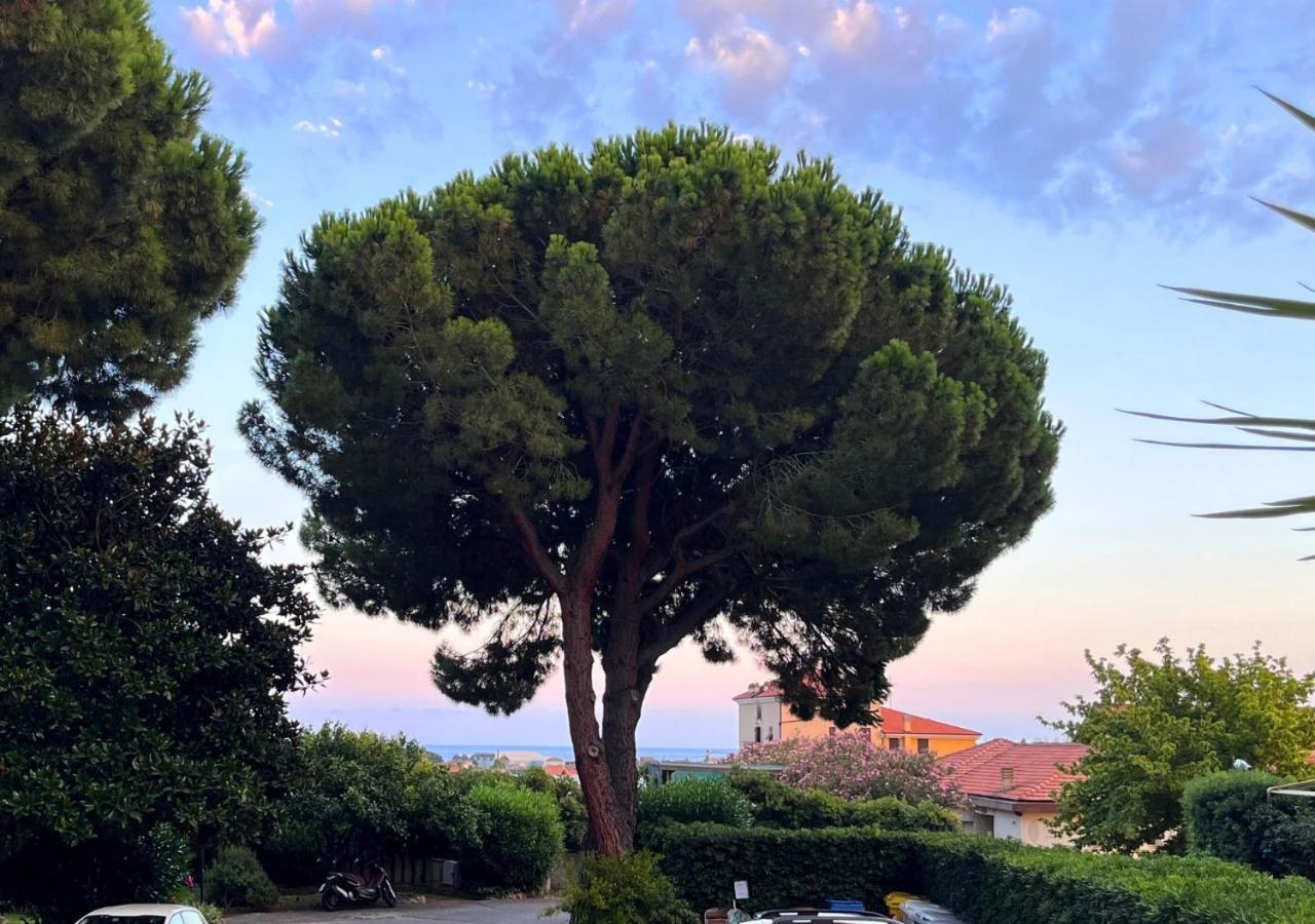 La Luna E Il Falo Ceriale Luaran gambar
